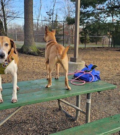Towers Park - Arlington, VA
