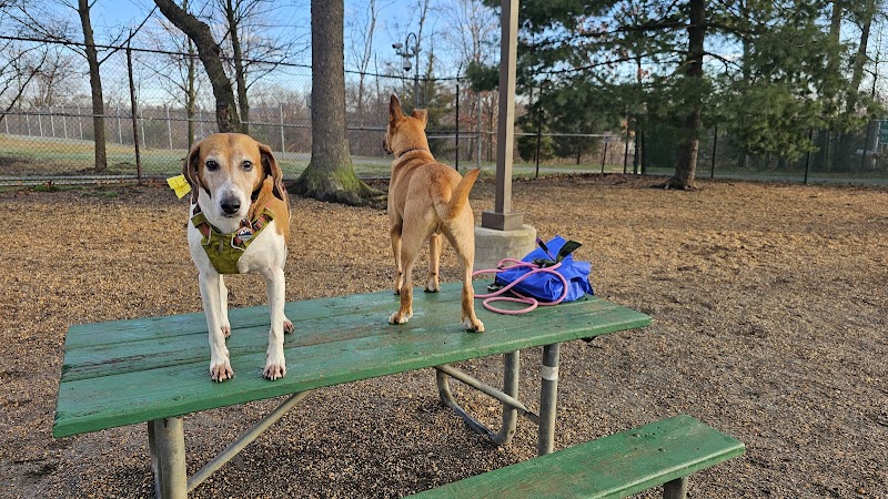 Towers Park - Arlington, VA