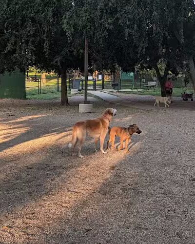 Towers Park - Arlington, VA