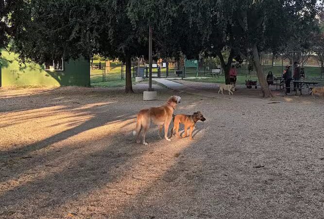 Towers Park - Arlington, VA