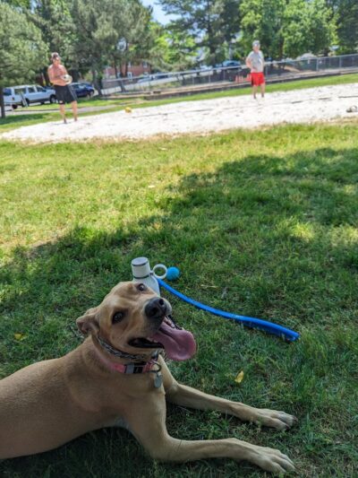 Utah Park - Arlington, VA