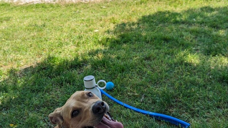 Utah Park - Arlington, VA