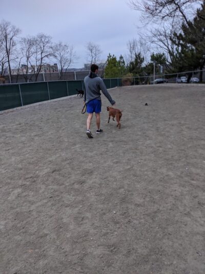 Utah Park - Arlington, VA