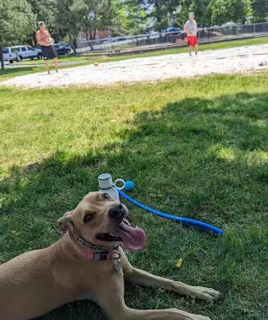 Utah Park - Arlington, VA