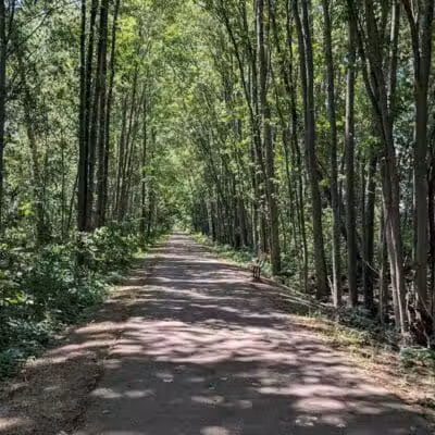 Macomb Orchard Trail - Armada,