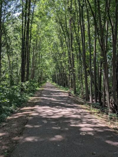 Macomb Orchard Trail - Armada,