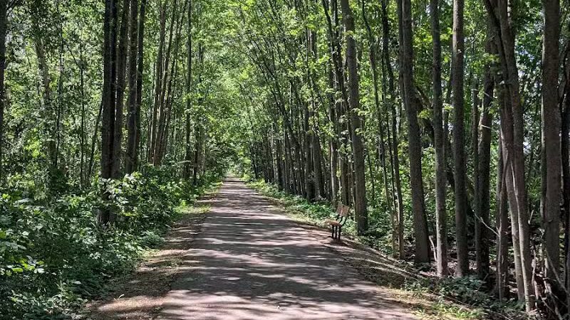 Macomb Orchard Trail - Armada,