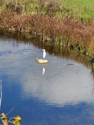 Macomb Orchard Trail - Armada,