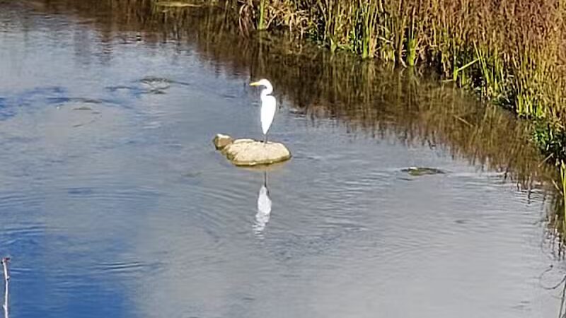 Macomb Orchard Trail - Armada,