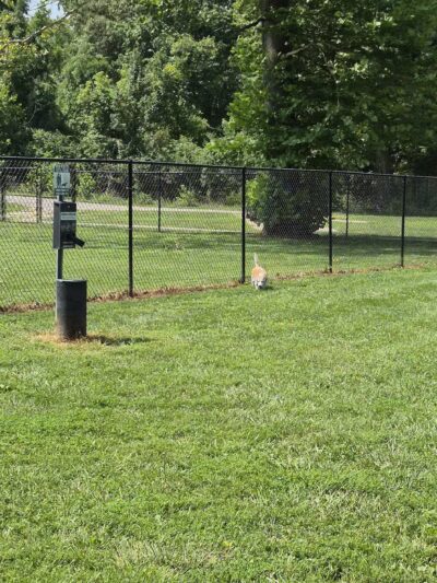 Ozark Dog Park - Arnold, MO