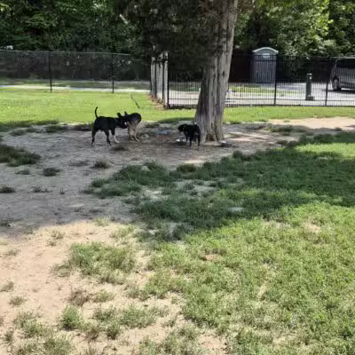 Ozark Dog Park - Arnold, MO