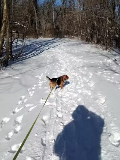 Ozark Dog Park - Arnold,