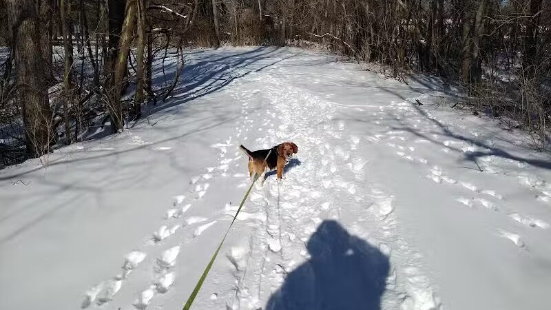 Ozark Dog Park - Arnold,