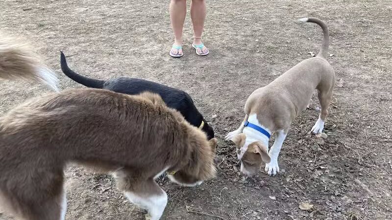 Ozark Dog Park - Arnold,