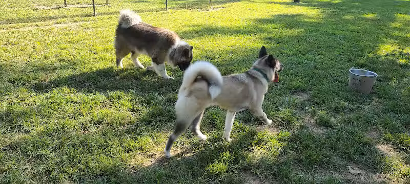 Ozark Dog Park - Arnold,