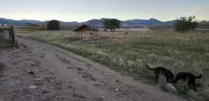 West Arvada Dog Park - Arvada, CO