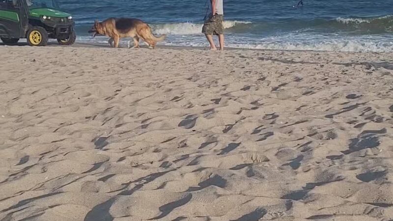 Rockaway Beach - Arverne, NY