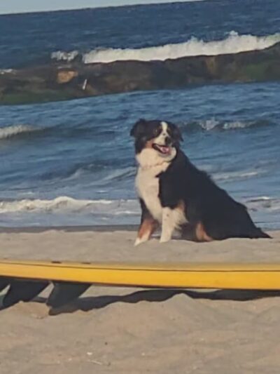 Rockaway Beach - Arverne, NY