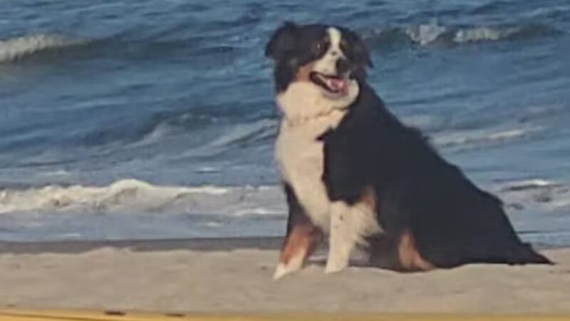 Rockaway Beach - Arverne, NY