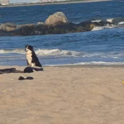 Rockaway Beach - Arverne, NY