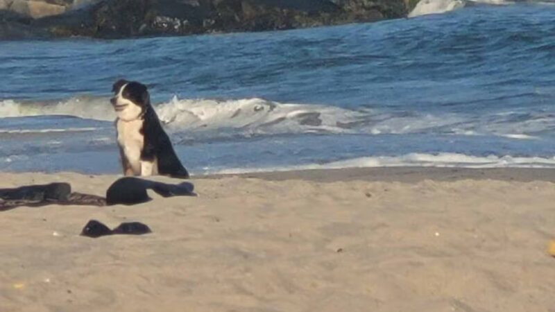 Rockaway Beach - Arverne, NY