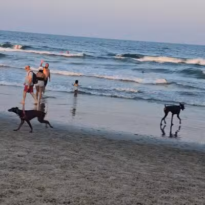 Asbury Park Dog Beach - Asbury Park, NJ