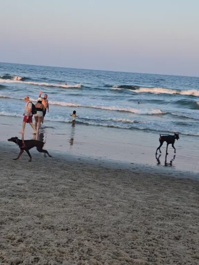 Asbury Park Dog Beach - Asbury Park, NJ