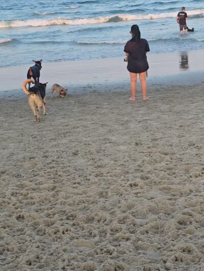 Asbury Park Dog Beach - Asbury Park, NJ