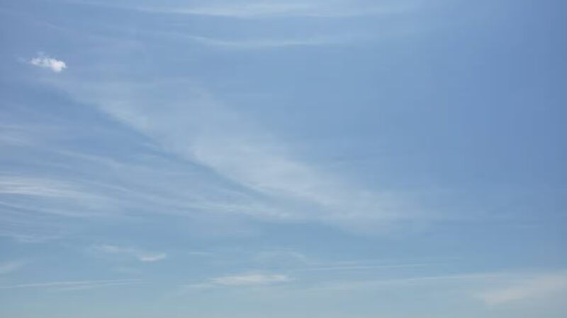 Bradley Cove - Asbury Park, NJ