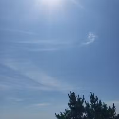 Bradley Cove - Asbury Park, NJ