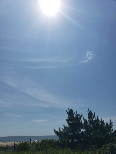 Bradley Cove - Asbury Park, NJ