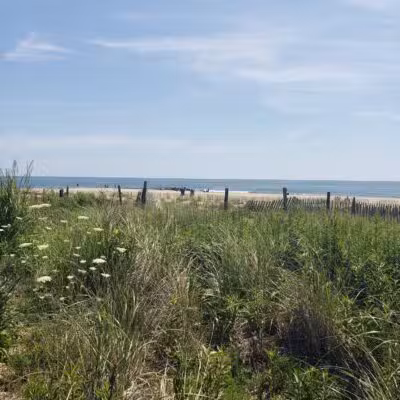Bradley Cove - Asbury Park, NJ