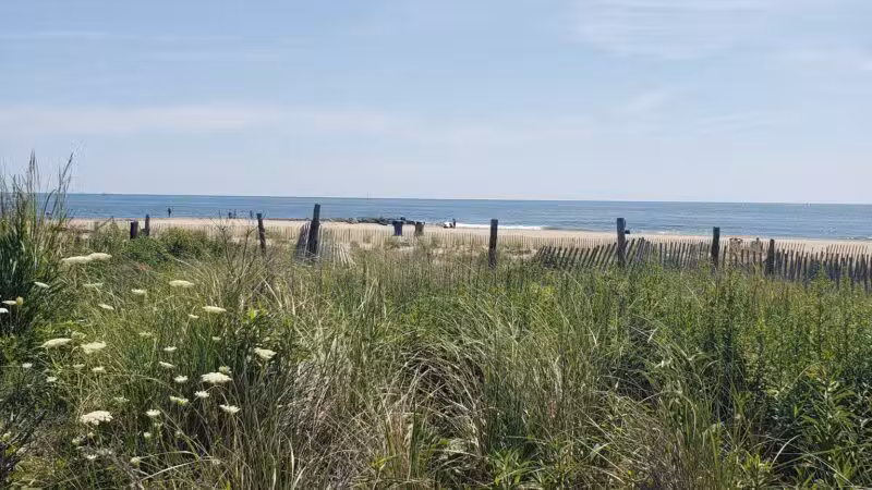 Bradley Cove - Asbury Park, NJ