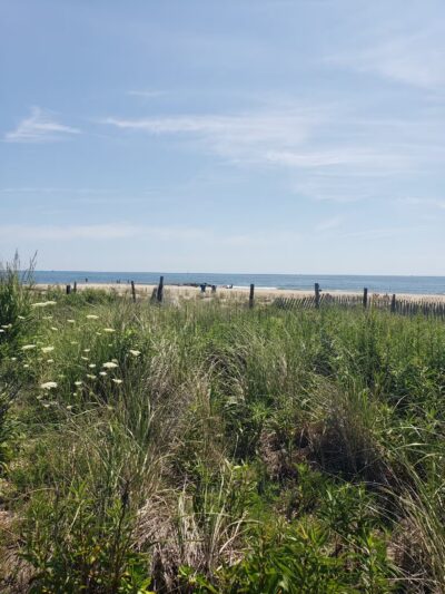 Bradley Cove - Asbury Park, NJ