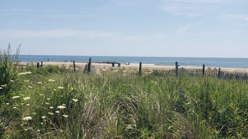 Bradley Cove - Asbury Park, NJ