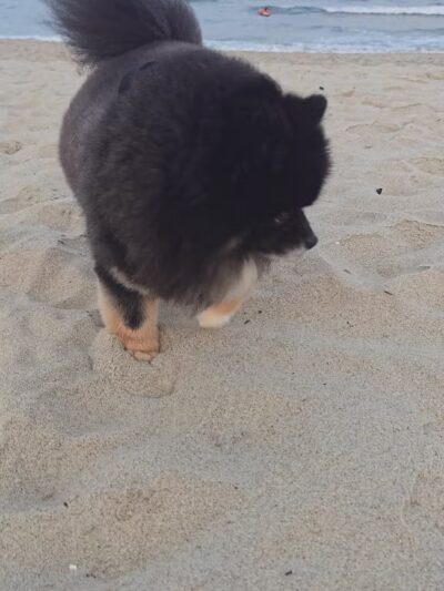 Bradley Cove - Asbury Park, NJ