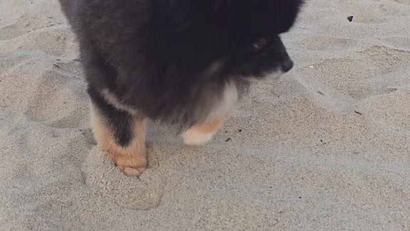 Bradley Cove - Asbury Park, NJ