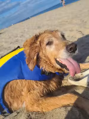 Asbury Park-Beach NJ - Asbury Park, NJ