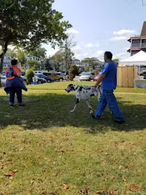 Kennedy Park - Asbury Park, NJ