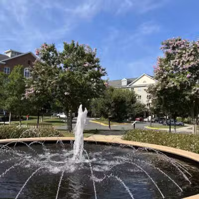 Ashburn dinosaur park - Ashburn, VA