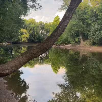 Bles Park - Ashburn, VA
