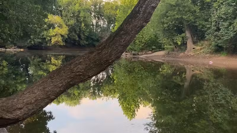 Bles Park - Ashburn, VA