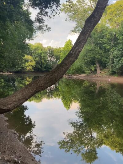 Bles Park - Ashburn, VA