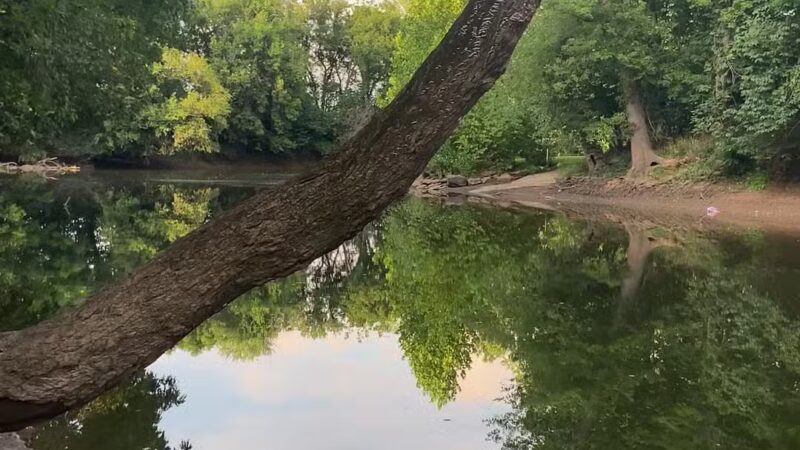 Bles Park - Ashburn, VA