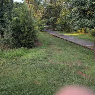 Central Park - One Loudoun - Ashburn, VA