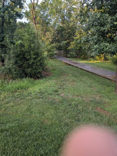 Central Park - One Loudoun - Ashburn, VA