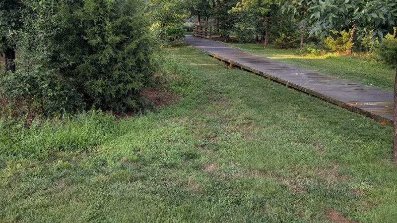 Central Park - One Loudoun - Ashburn, VA