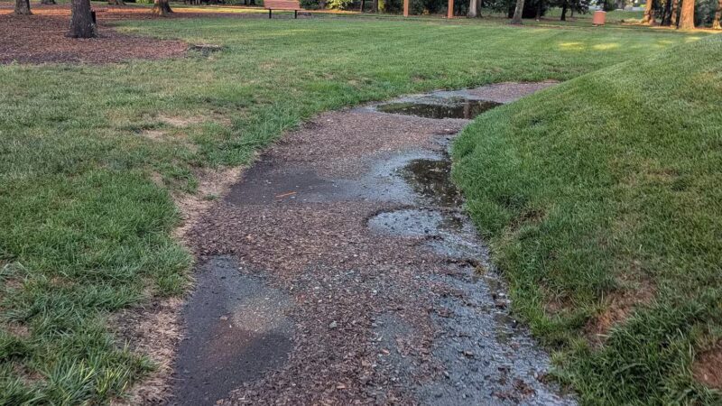 Central Park - One Loudoun - Ashburn, VA