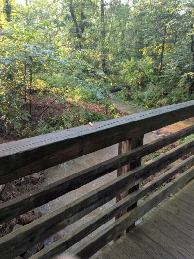 Central Park - One Loudoun - Ashburn, VA