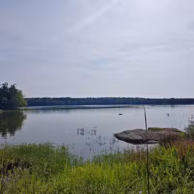 Reservoir Park - Ashburn, VA